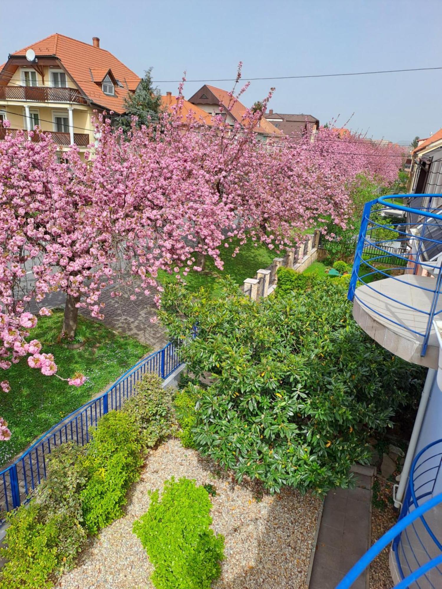 Laguna Apartmanhaz Heviz Exterior photo
